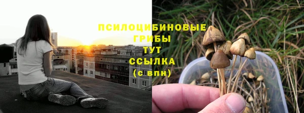 крисы Абинск
