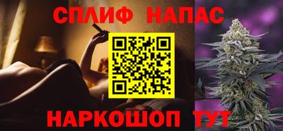 тгк Долгопрудный
