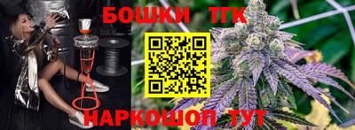 тгк Долгопрудный