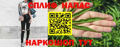 тгк Долгопрудный