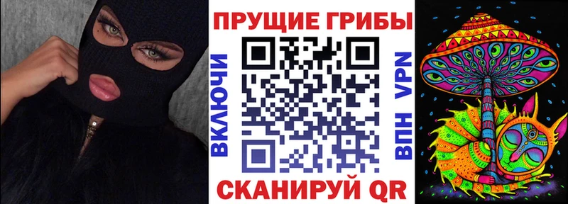 Галлюциногенные грибы Psilocybine cubensis  Стерлитамак 