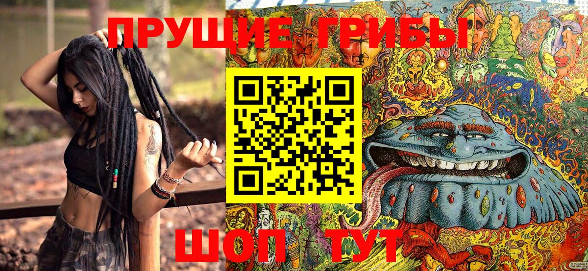 Стерлитамак  купить  цена  Галлюциногенные грибы мицелий  Вход с VPN  Псилоцибиновые грибы Cubensis 